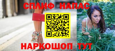 гашик Можайск